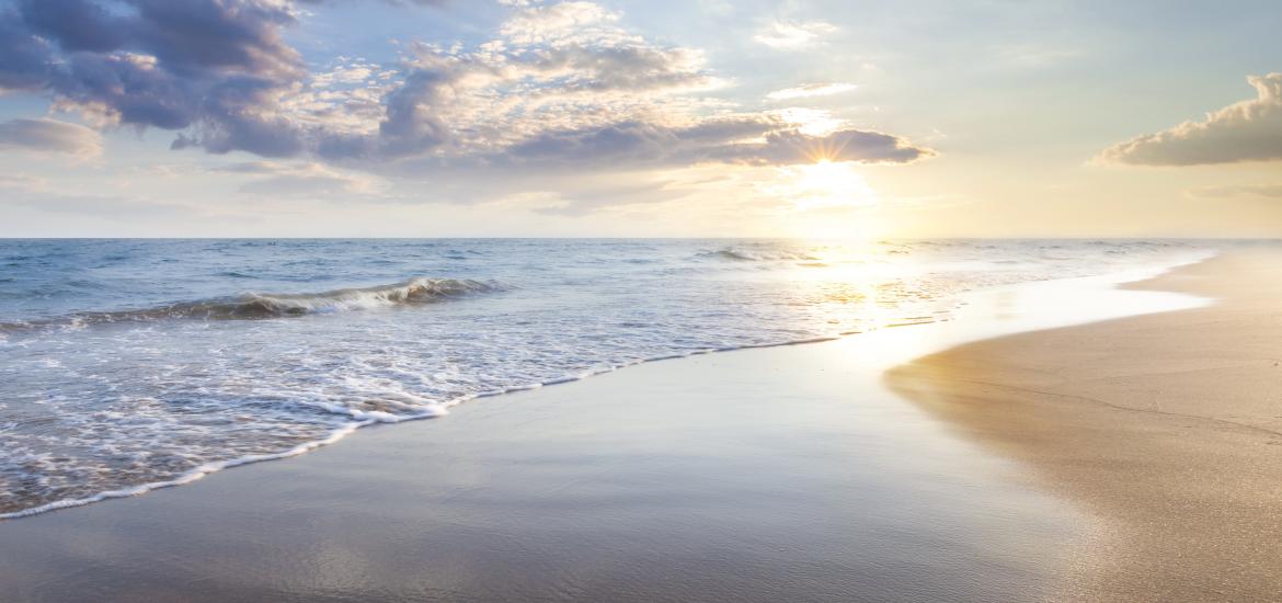 Am Meer