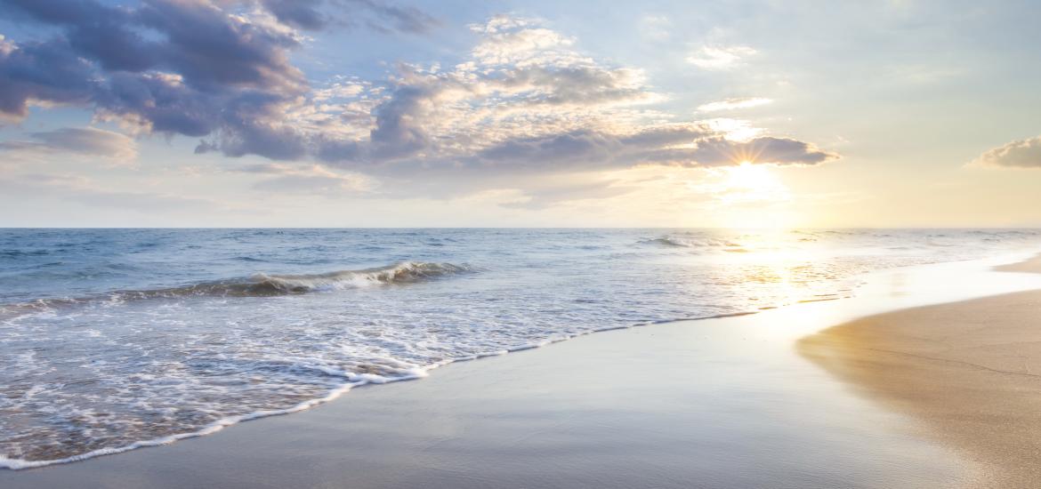 Am Meer
