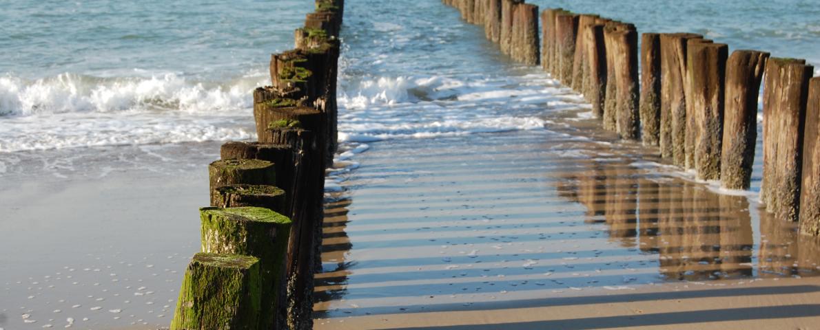 am Meer