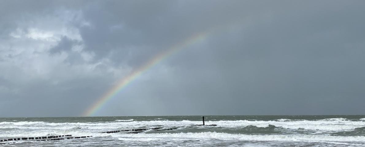 regenbogen