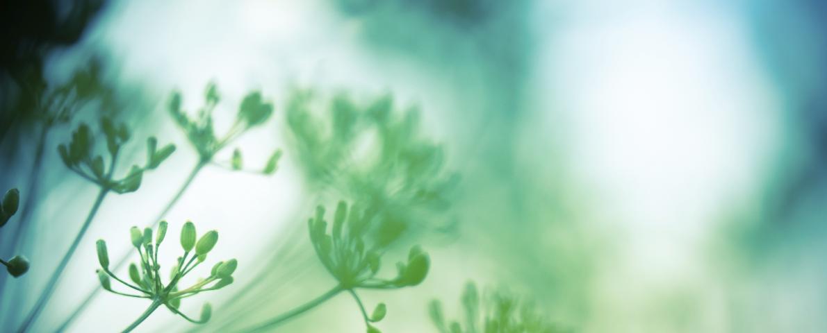 Natur