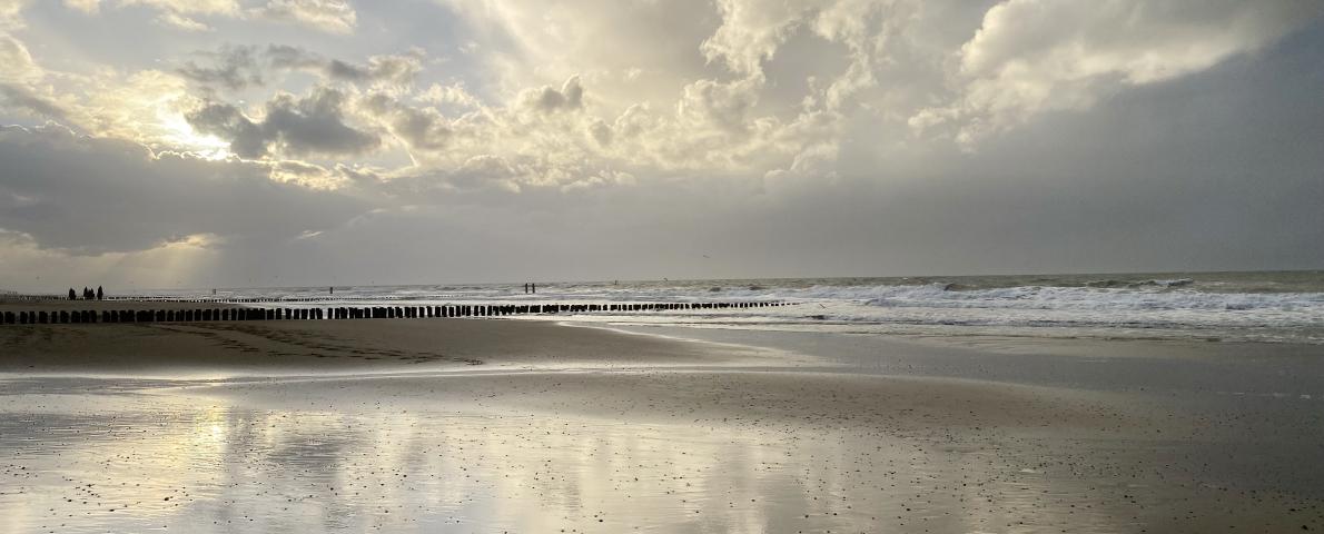 Am Meer