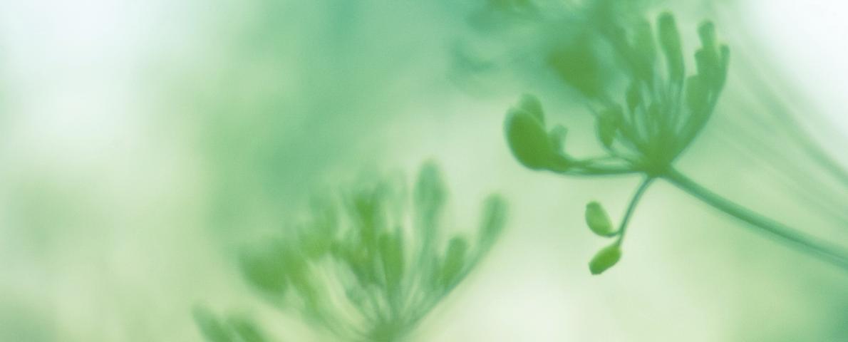 Natur