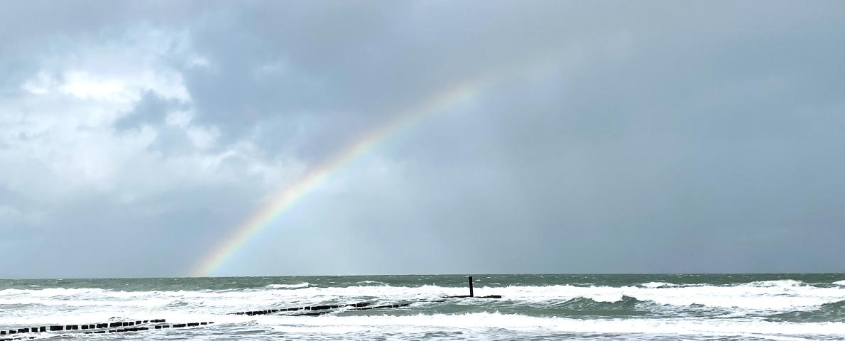 Regenbogen