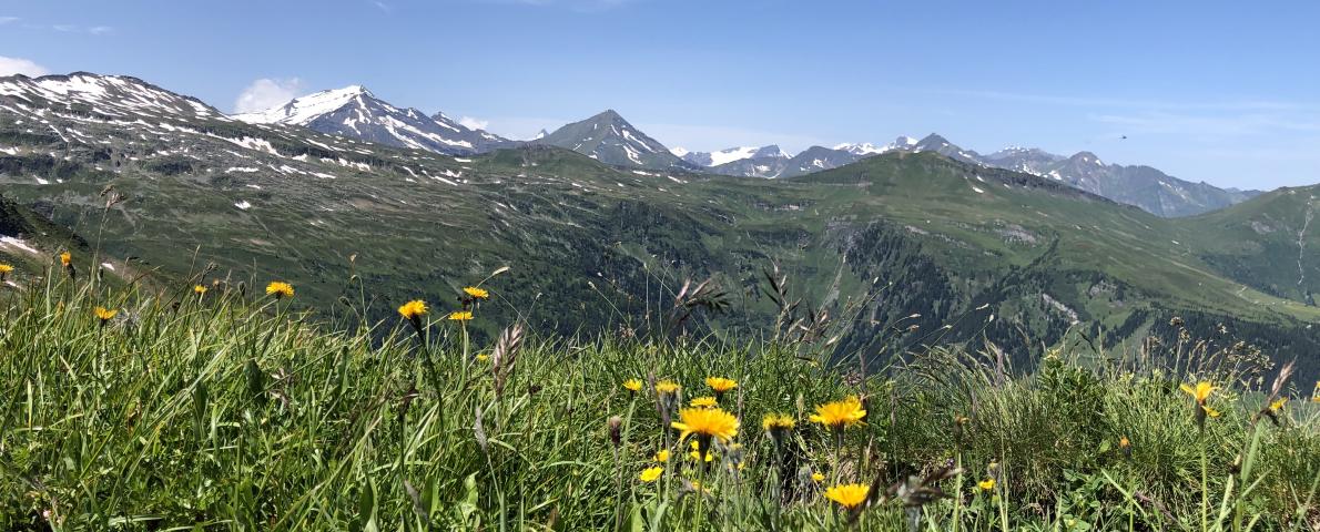 Berge