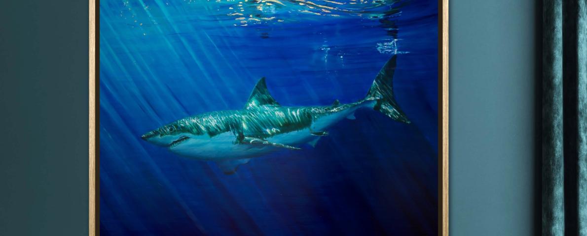 Golden Ocean Reflection Shark