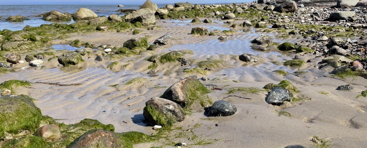 Am Strand