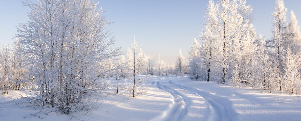 Winter