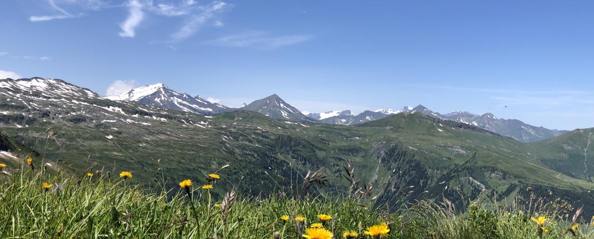 Berge