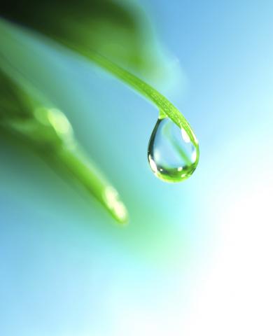 Wassertropfen