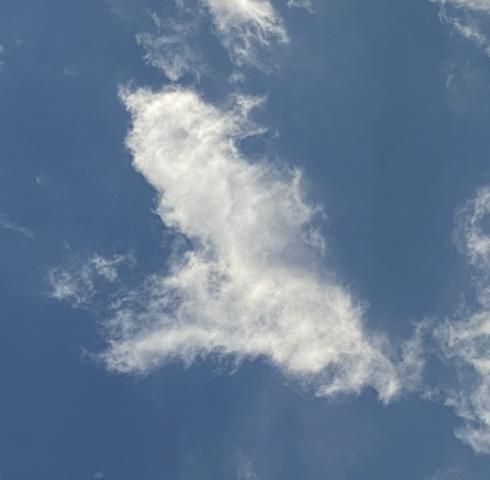 Wolke 7