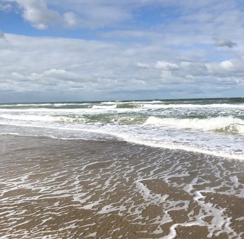 Meer