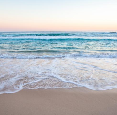Meer