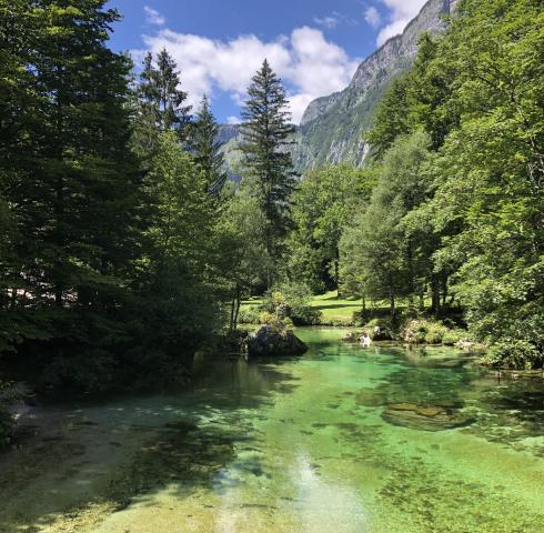 am See