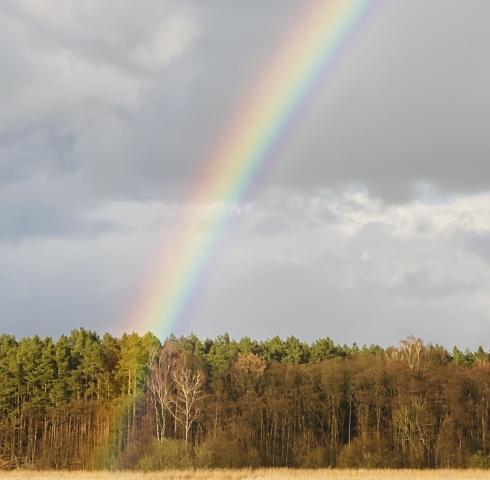 Regenbogen