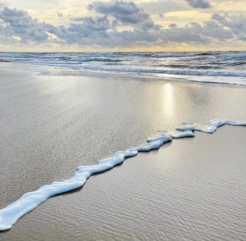 Meer