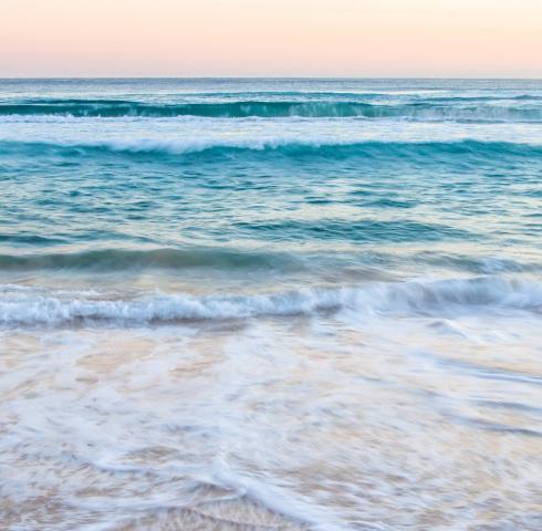 Meer
