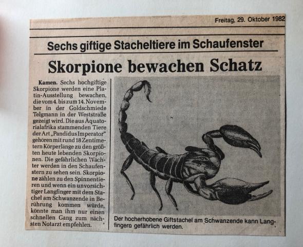 Skorpione im Schaufenster Goldschmiede Telgmann