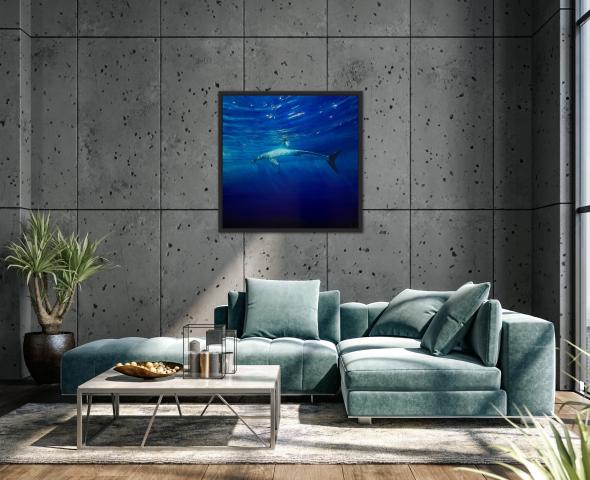 Golden Ocean Reflection - Shark 80x80cm