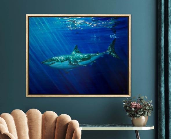 Golden Ocean Reflection Shark