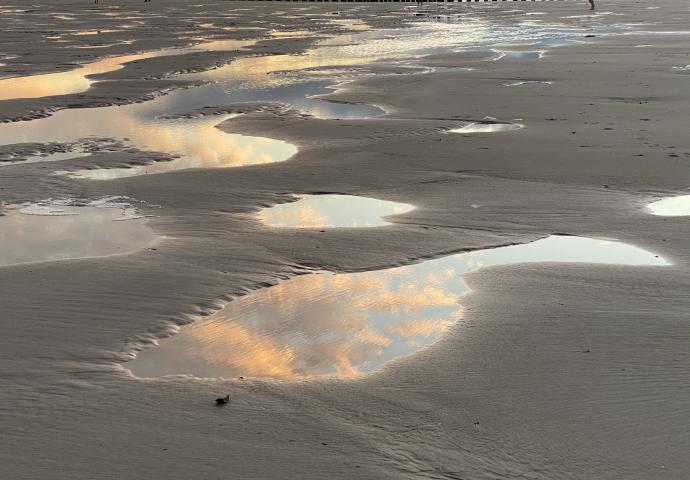 am Meer