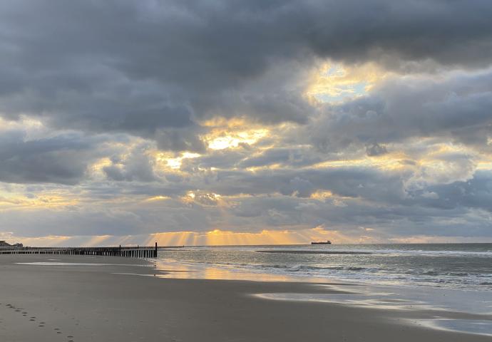 Bild "Am Meer" 40x30cm, 1.450€ Am Meer