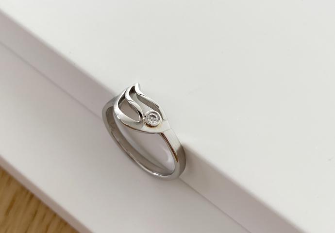 Brillant Ring Welle