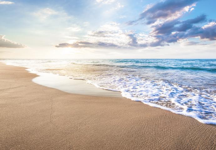 am meer